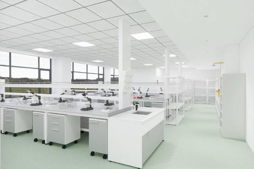 春运火车票优惠新举措与苏州数字经济活力