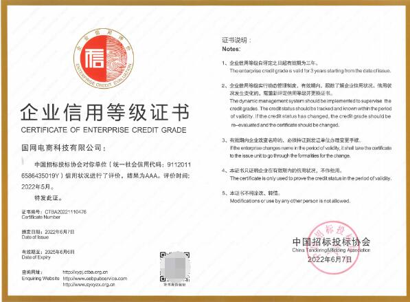 国网电商科技 国网电商化采购的五星级代理服务与互联网数据服务